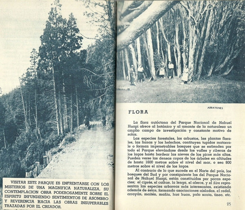 Parque Nacional Nahuel-huapi. Guía Temporada 1943 -44 (Usado)