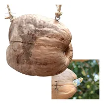 Comprar Nido Para Aves Coco Natural Para Australianos Pequeñas Aves