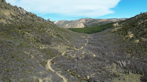 Venta Campo 100 Ha Costa De Río Ñirihuau - Colonia Nahuel Huapi