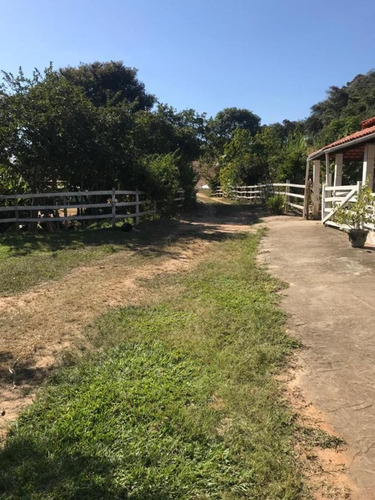 Imagem 10 de 15 de Fazenda Para Venda Em Crucilândia, Braúna, 3 Dormitórios, 1 Suíte, 1 Banheiro - F18_1-1925642
