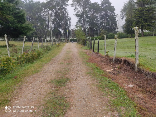 Lote Rionegro Llano Grande Vereda Vilachuaga