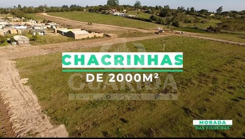 Imagem 2 de 2 de Terreno - Lageado - Ref: 206611 - V-206723