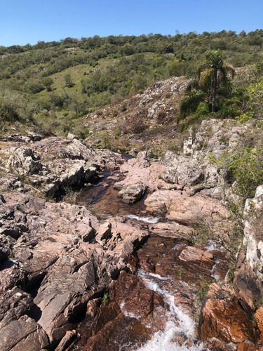 Imagen 10 de 19 de Venta, Chacras De 5 Hectáreas, Maldonado.