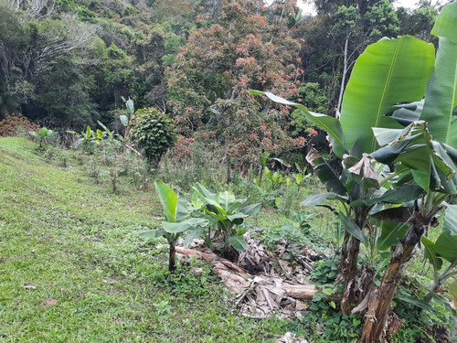 Imagem 24 de 30 de Lindo Sítio Em Juquitiba