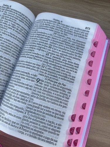 Bíblia Arc Leão Jesus Pink Hiper - Com Harpa E Indice Digital