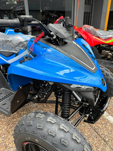 Cuatriciclo Para Niños Cforce 110cc - Cfmoto Quilmes