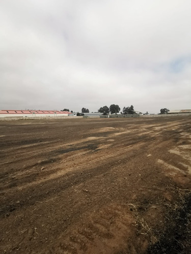 Imagen 7 de 7 de Se Arrienda Terrenos Industriales Desde 5.000 M2 Y Bodegaje