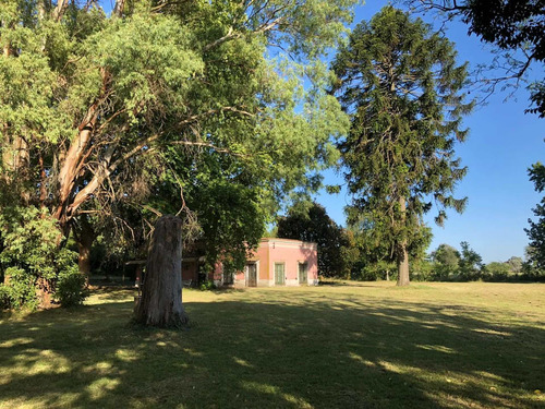 Imagen 8 de 30 de Venta - Campo Ernestina - 25 De Mayo - Rio Salado