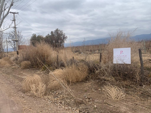 Imagen 2 de 3 de Bodega - Tunuyan