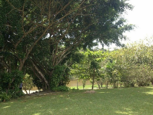 Imagem 8 de 9 de Terreno À Venda, 836 M² Por R$ 100.000,00 - Nova Cidade - Macaé/rj - Te0067