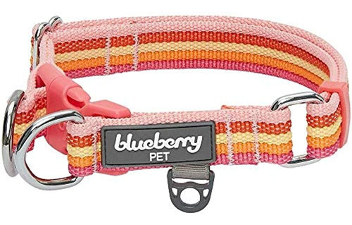 Collares Para Perros Blueberry Pet 7 Patterns Perfect Rainbo