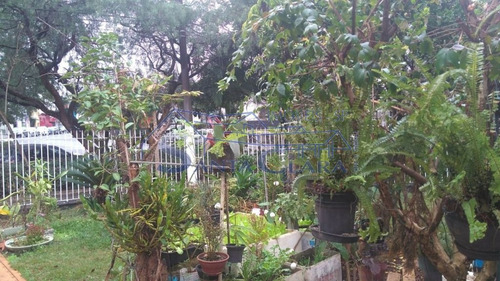 Imagem 14 de 15 de Casa Térrea À Venda No Bolsão Residencial City Campo Grande, São Paulo - Sc798