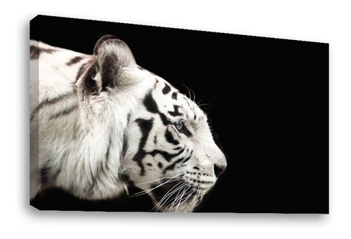 Cuadro Decorativo Canvas Moderno Tigre Blanco