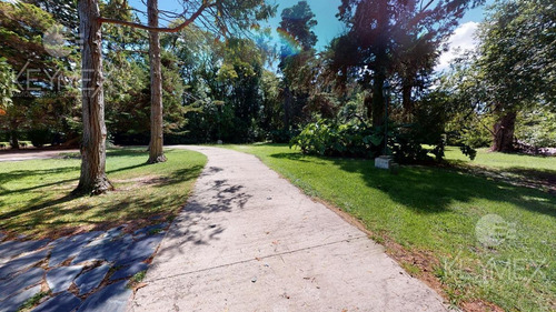 Campo - Villa Elisa