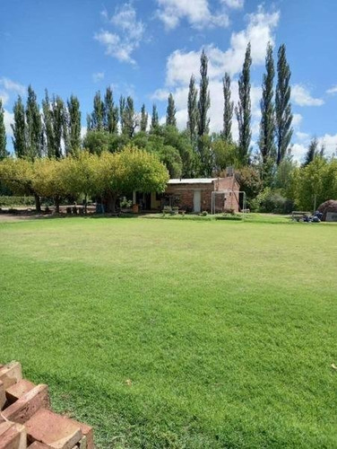 Imagen 10 de 30 de 3 Fincas Con Bodega En Venta Cañada Seca.