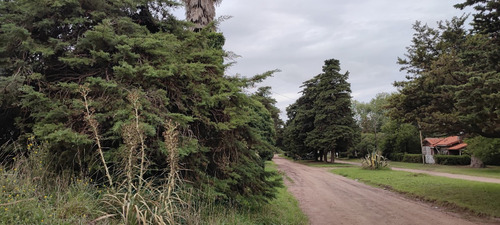 Imagen 7 de 13 de Lote B° Copacabana Con Escritura Sobre Av Suipacha De 400 Mts2