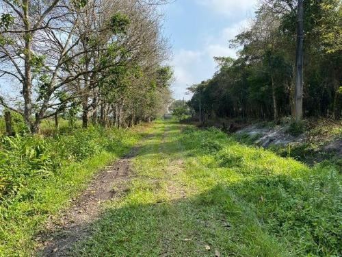 Imagem 2 de 7 de Chácara Litoral Sul Lado Serra 2214m²- Ref. 7270/dz