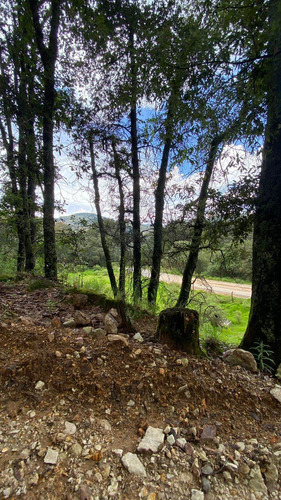 Imagen 2 de 10 de Venta Terreno Real Del Monte Hidalgo Ideal Para Cabañas