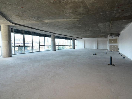 Imagen 5 de 13 de Oficina En Alquiler 320 M² Madero Harbour - Juana Manso 1870