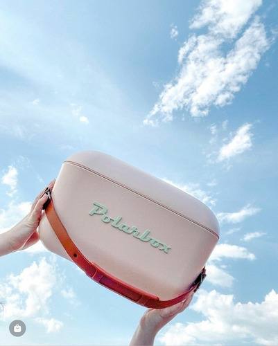 Imagen 5 de 9 de Conservadora Pop Polarbox Retro Vintage 12 Litros