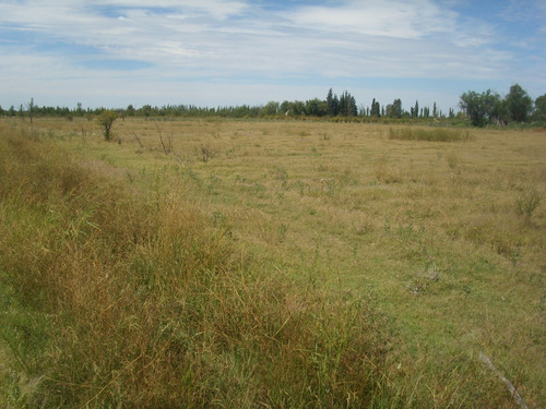 Imagen 5 de 8 de Surmendoza La Montilla1 Dueño Vende Lindo Y Amplio Terreno Rural 2100m2