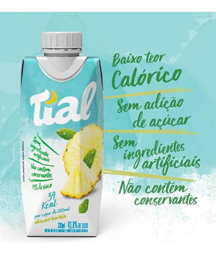 Suco Abacaxi Com Hortelã Baixa Caloria Tial 330ml- Kit Com 9