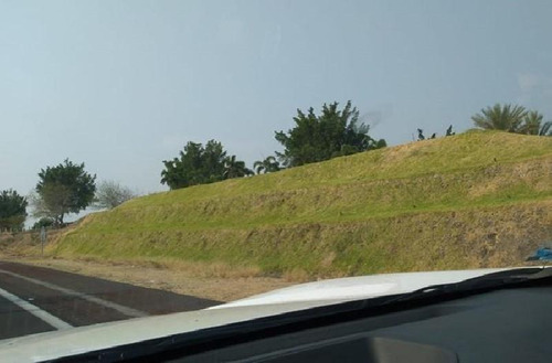 Imagen 21 de 23 de Venta De Terreno Puente De Ixtla Precio A Negociar, Con Titulo De Agua H