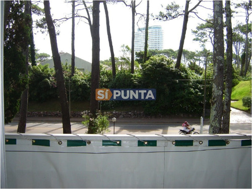 Imagen 3 de 13 de Apartamento En Mansa, 1 Dormitorios *