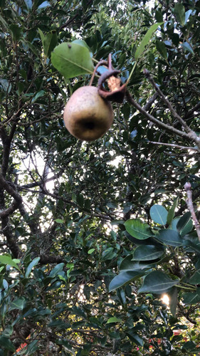 Viver Com A Natureza Não Tem Preço.