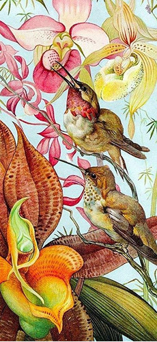 Rompecabezas De Madera, Diseño De Pájaros Y Orquídeas, 122 P