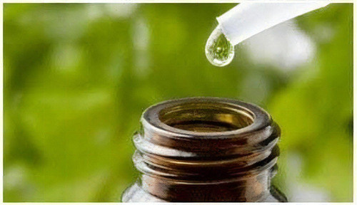 Aceite Esencial De Árbol De Te 100 Mililitros