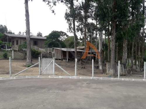 Chácara 4.000m², 02 Casas, Tanque De Peixe, Em Campestrinho - Mandirituba/pr. - Cha007 - 68995278
