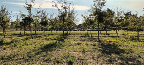 Venta Parcela 5603 M2 Santa Rita Pirque. Con Derecho De Agua