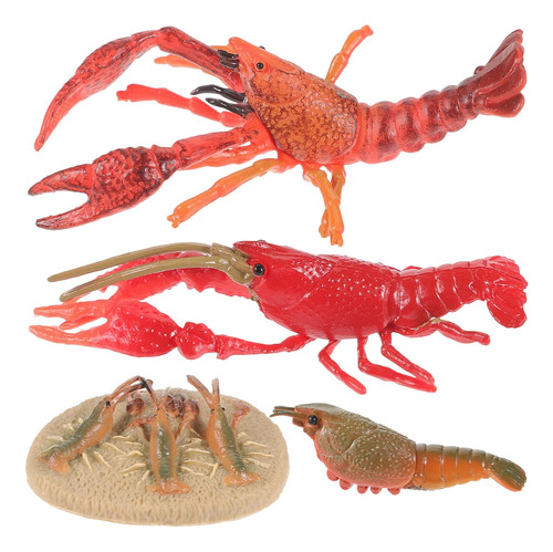 Lobster Toy Sea Animal Growth Toys Ciclo De Vida De Cangrejo