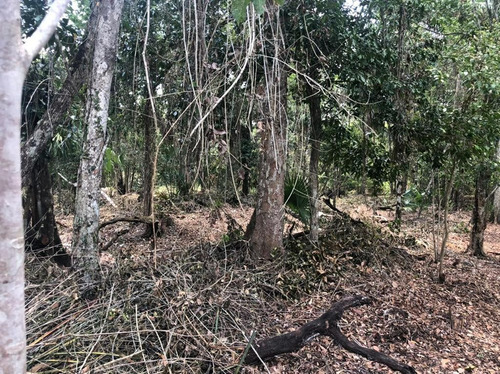 Lote En Venta En La Ruta De Los Cenotes. Qta. Roo.