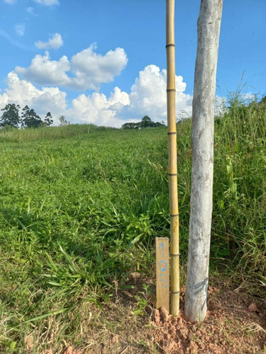 Imagem 4 de 22 de 03o- Ofertas De Terreno Impecável Pra Você, Vem Conferir