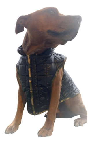 Campera Buzo Piloto Impermeable Apolo Invierno Perro L