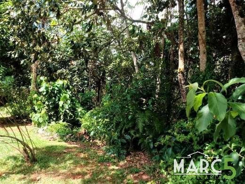 Imagem 6 de 12 de Lote Em Condominio - Chacaras Colinas Verdes - 1816