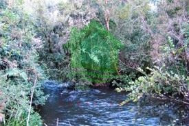 Imagen 8 de 10 de Agrícola En Venta En Puyehue