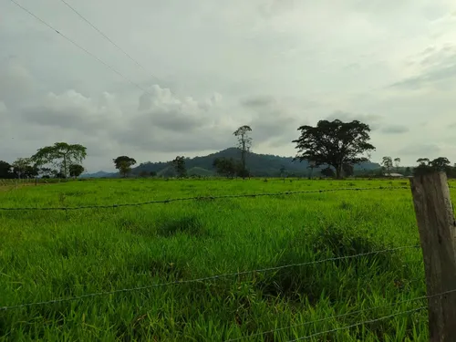 Em Finca En Venta En La Fría