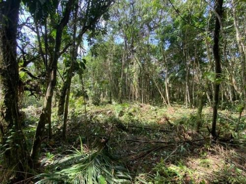 Terreno De Chácara Em Itanhaém Com Contrato 7866