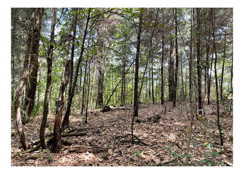 Terreno En Venta En Temascaltepec.