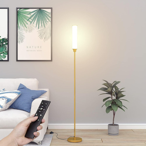Lámpara De Pie Con Control Remoto, Brillo Ajustable 3000k-60