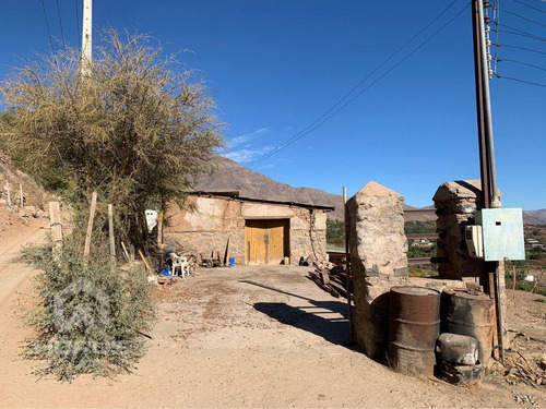 Sitio En Venta En Vicuña