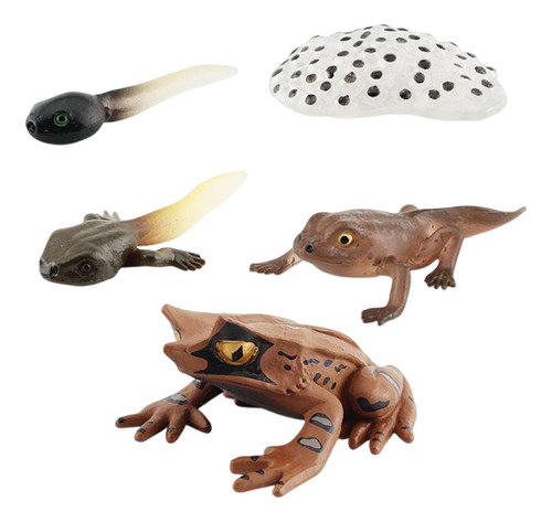 3 Figuritas De Animales Realistas Modelo De De Ranas Estilo