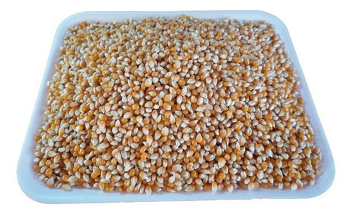 Maíz Palomero 40 Kg De Excelente Calidad Y Sabor