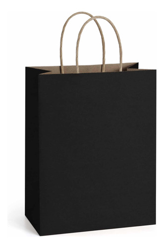 25 Bolsas Kraft Negro Para Tienda (20.5x13x8)