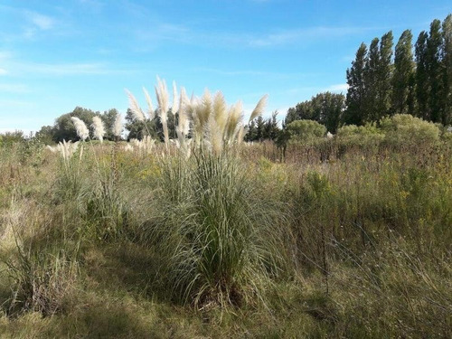 Imagen 5 de 6 de Terreno En Venta Ubicado En Pilar, G.b.a. Zona Norte