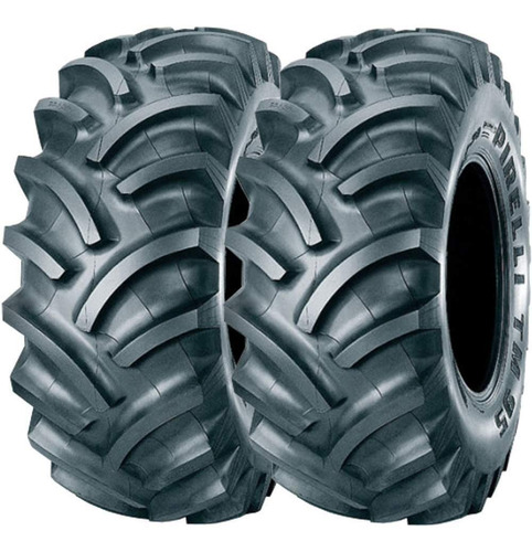 Combo 2 Pneus 12.4-28 6 Lonas Tubetype Tm95 Pirelli