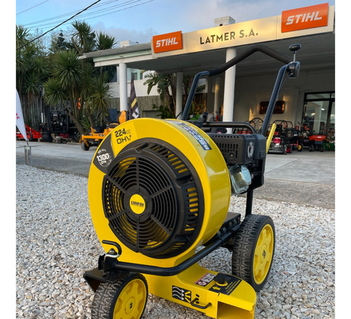 Soplador Champion 224 Cc